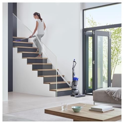 Dyson Ball Animal 2 Review