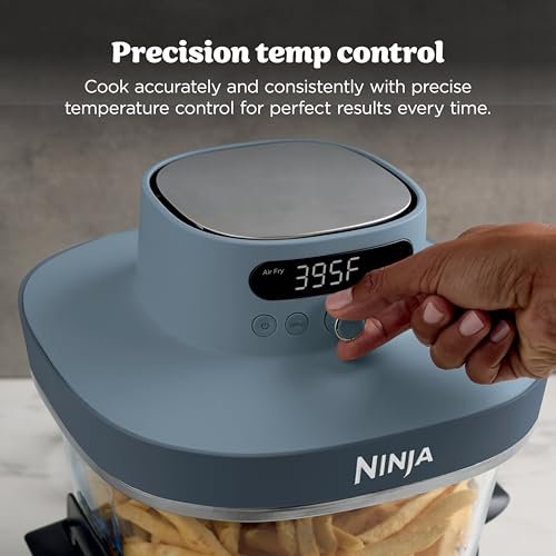 Ninja 6 In 1 XL Air Fryer Pro Reviews