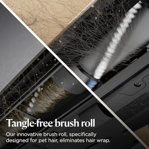 Bissell Pet Hair Eraser Review