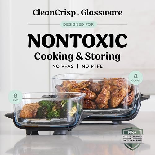Ninja Crispi 4-In-1 Portable Glass Air Fryer Reviews