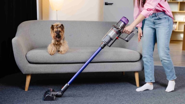 Bagged Vs Bagless Vacuum Cleaner
