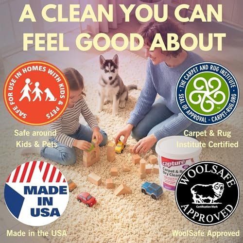 Best Dry Carpet Cleaning Powder