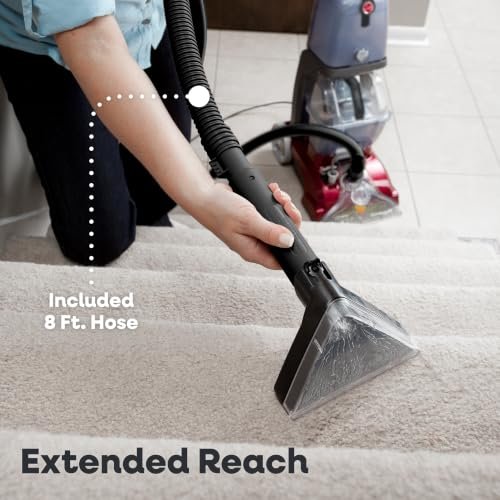 8 Best Carpet Cleaner Delaware Ohio
